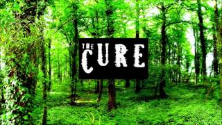 Video thumbnail of "The Cure - A Forest, 1980 (Instrumental Cover) + Lyrics"