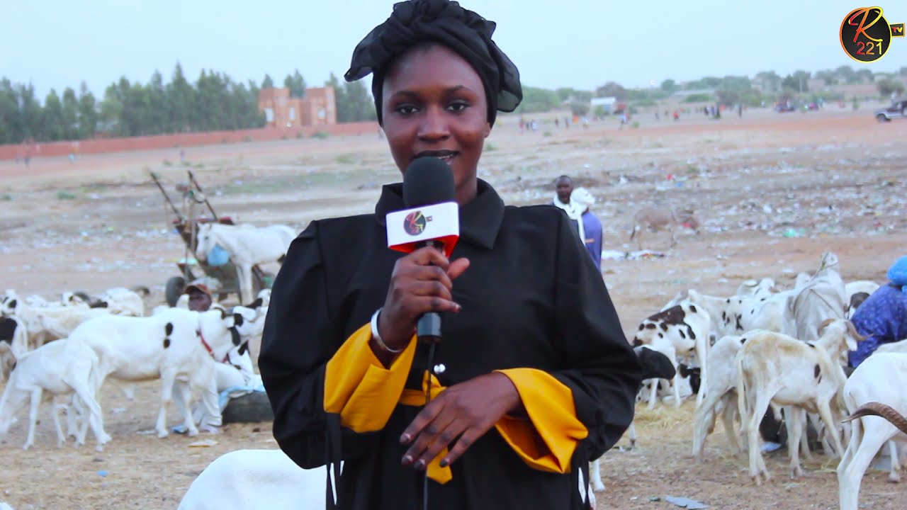 Chéreté des moutons à Richard toll  les clients se plaignent et les vendeurs s'expliquent
