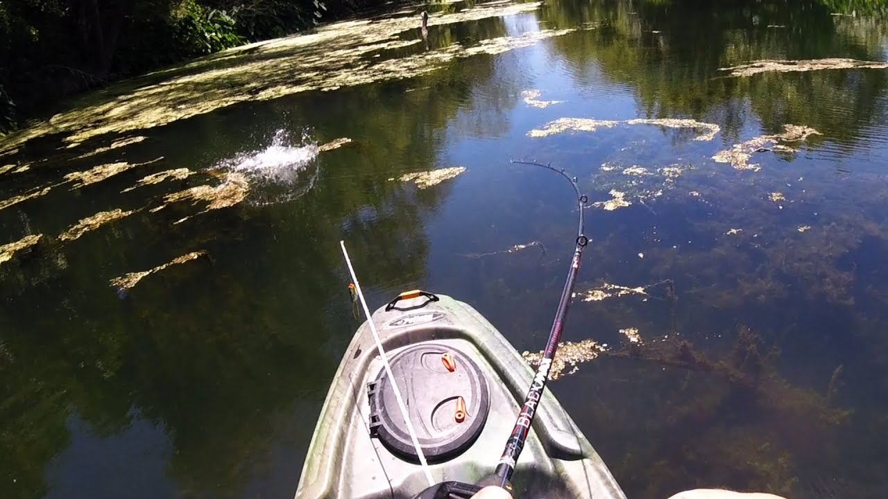 ozark trail whopper plopper