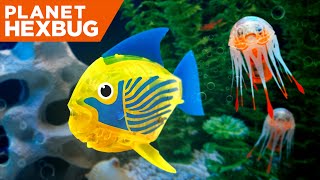 Planet Hexbug - Episode 9 The Aquabots