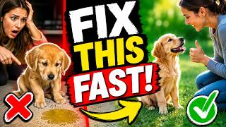 Don’t Yell! The Right Way to Handle Puppy Accidents