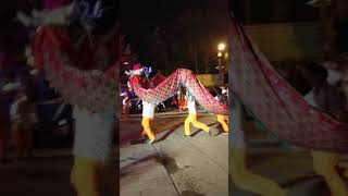 大溪大禧夜光遊行-大溪共義團夜光龍