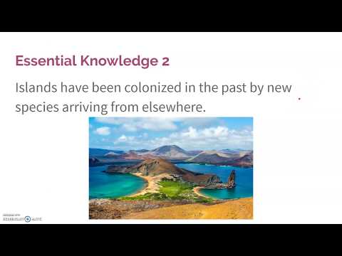 2.3 Biogeografie ostrova
