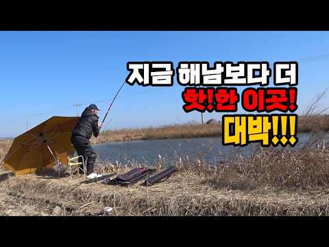 *가온*~~피싱다이어리 제531회붕어노지낚시