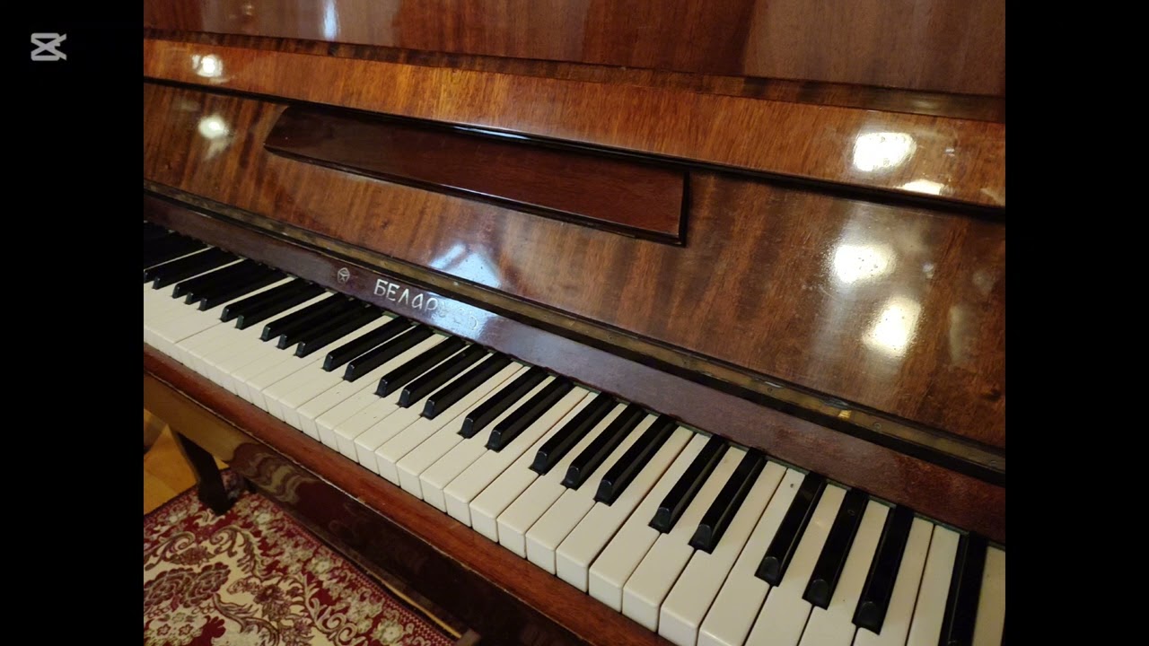 Sonata ekspozisiyası. Tamamlayıcı mövzu. Hazırlıq dərsləri keçirilir. #attestatsiya