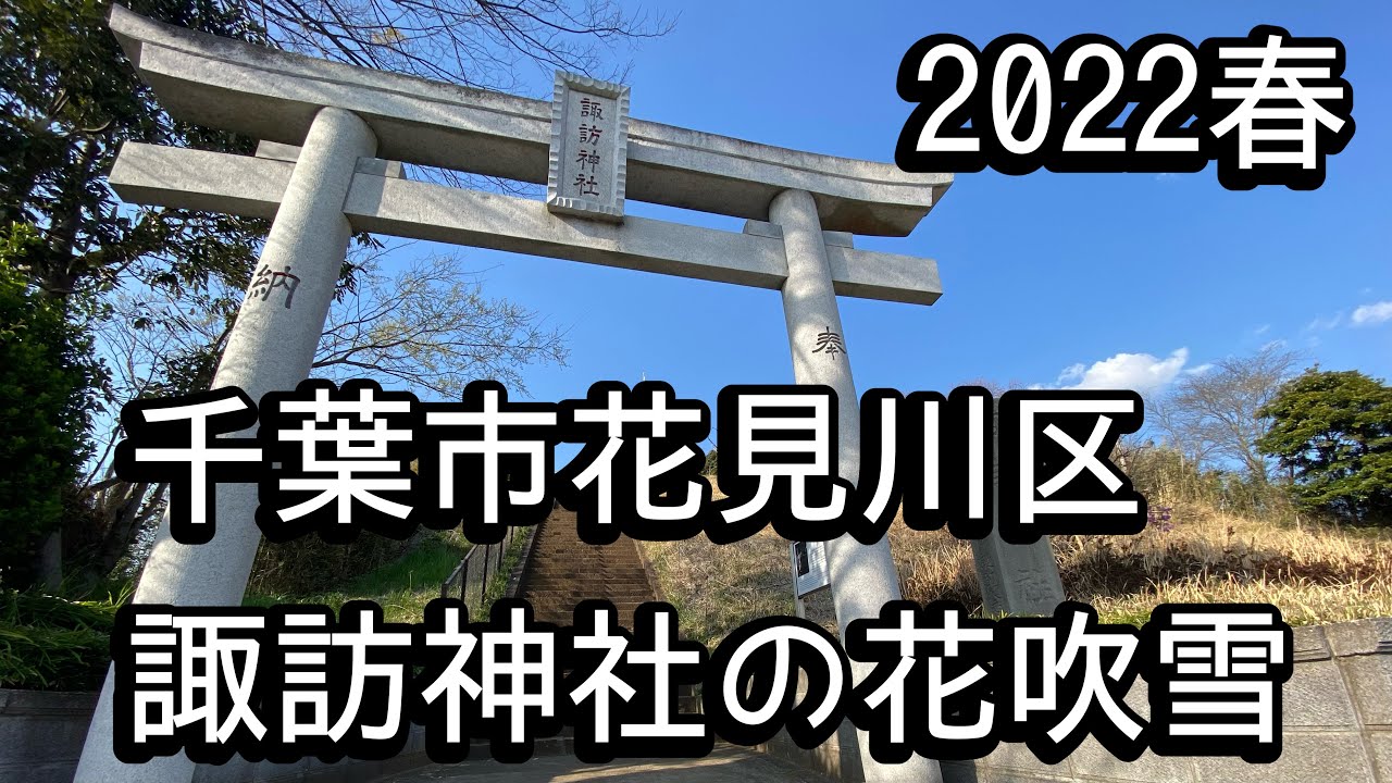 千葉市花見川区諏訪神社の花吹雪 Youtube