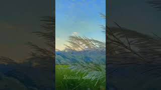Download Lagu relaxing nature di iringi musik yang menyentuhmu #bunga  #relaxingmusik  #shorts MP3 Download Lagu relaxing nature di iringi musik yang menyentuhmu #bunga  #relaxingmusik  #shorts MP3