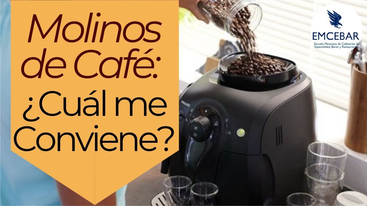 Café en grano o molido: ¿cuál es la mejor molienda según tu cafetera?