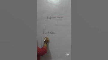 Secondary - Data Entry Operations - Input or Output Device