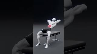 🔥 Best Abs Workout at Home | Flat Belly & Strong Core Fat Loss