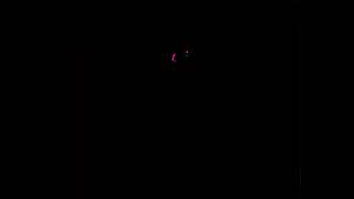 Famous Self-supervised Optical flow estimation Profile