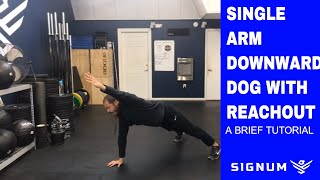 Single Arm Downward Dog with Reach Out Exercise | A Tutorial