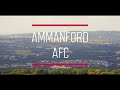 Ammanford AFC - My Club on RedWall+