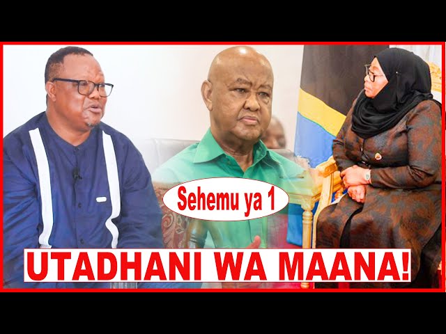 LISSU AMVAA KINANAALISHUGHULIKIWA/KUNA MAMBO TUNAYAJUA WAJIHESHIMU AANIKA YA RAIS SAMIA UBELIGIJI class=