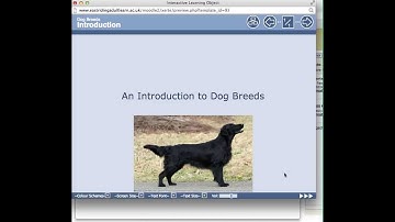 Xerte Title Page - 7 - Resizing a Non-transparent Image