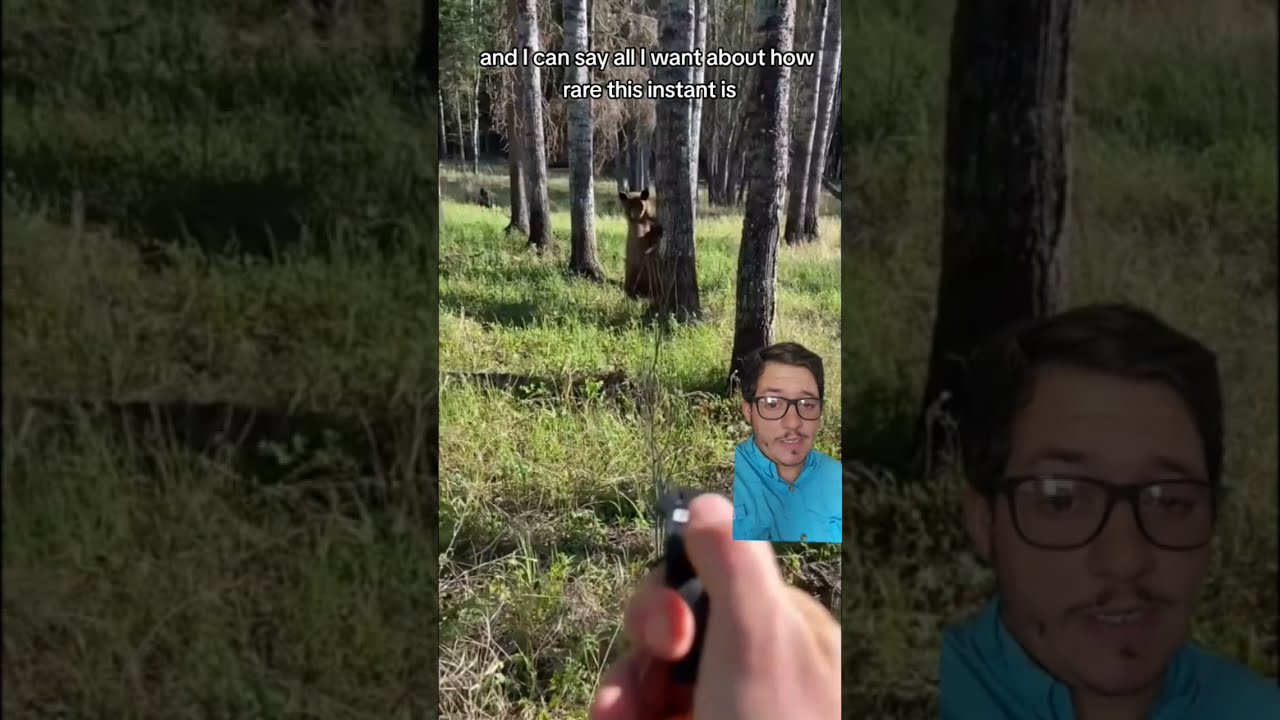 Black Bear Kills Arizona Man In Rare Predatory Attack