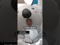 South Koreans snooze their way through power-nap contest