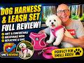Dog Harness &amp; Leash Set 🐶 | Full Review &amp; Demo (Soft, Breathable &amp; Perfect for Small Dogs!)