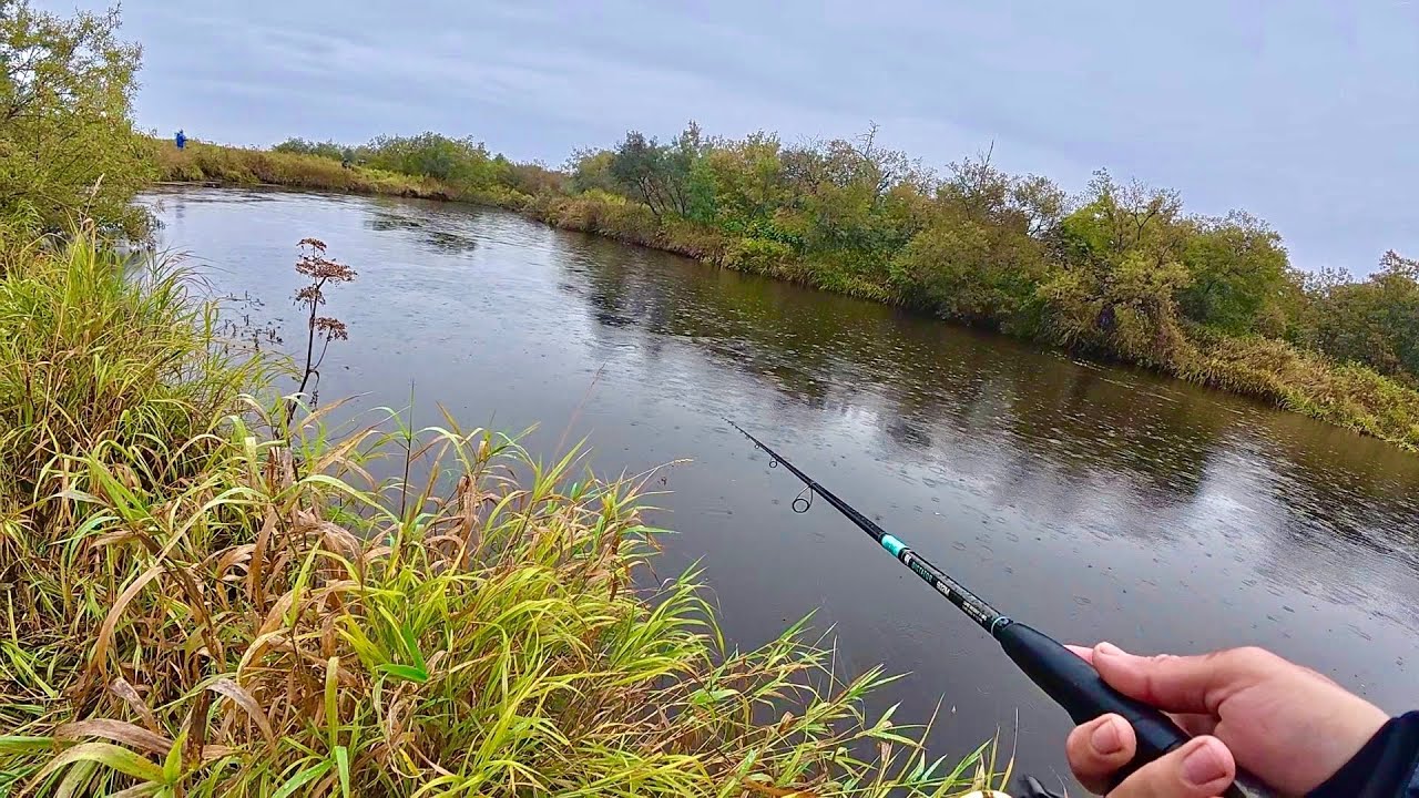 ВЕДРО ХАРИУСОВ ЗА 10 МИНУТ! ДИЧАЙШАЯ РЕКА НА КАМЧАТКЕ И РЫБАЛКА НА НЕЙ