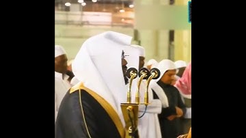 من «سوره يوسف»                  للشيخ ياسر الدوسري