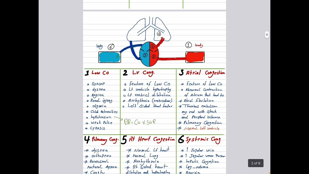 Cardiology // valvular heart disease part 1