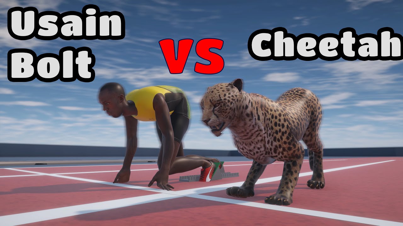 Usain Bolt VS Cheetah - YouTube