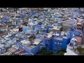 صباح الورد يا احلى ورد 