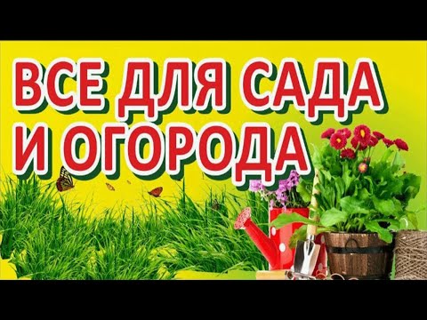 Топ 5 популярных товаров для дачи обзор от нашего канала