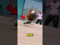 Can a Fly Really Dodge a Bullet?