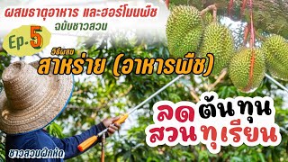 ชาวสวนฝึกหัด | Ep.5 ลดต้นทุนทำสวนทุเรียน ลงทุนน้อยกำไรมาก (วิธีผสมสาหร่าย อาหารพืช)