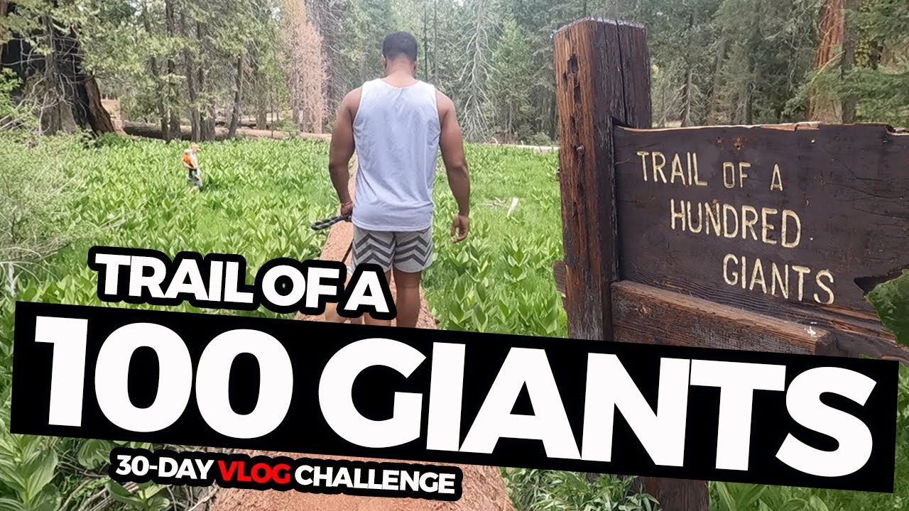 Trail Of A 100 Giants in Sequoia National Forest
