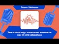 Чем опасен вирус папилломы человека и как от него избавиться | Подкаст Лайфхакера