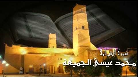 تلاوة حجازية هادئة - سورة القيامة - أبو وسام الجميعة