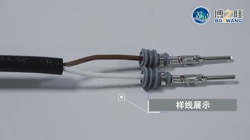 BZW-2.5T-FBD Double Wire Automatic Wire Stripping, Seal Inserting, and Terminal Crimping Machine