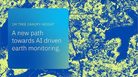 Mapping the World’s Trees in Unprecedented Detail with AI