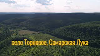 село Торновое, Самарская область