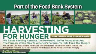 AndNowUKnow: IFCO Forgotten Harvest - Shop Talk