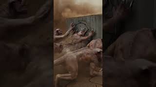 UNDERGROUND VAULT The Muto Capture Survival 2026