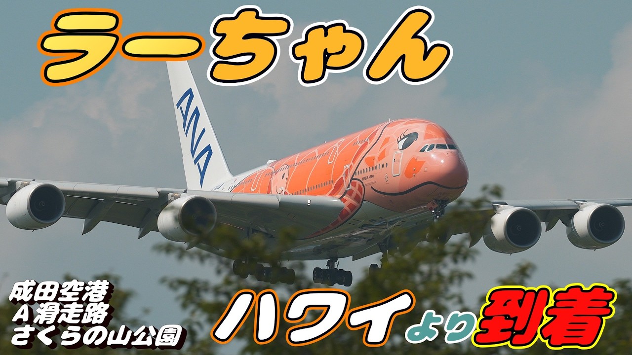 4K】成田空港 さくらの山公園 ANA超巨大旅客機エアバスA380 ラーちゃん