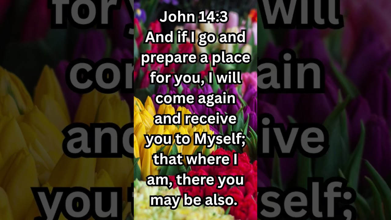 Daily Word of God John 14:3 #dailyword #wordofgod