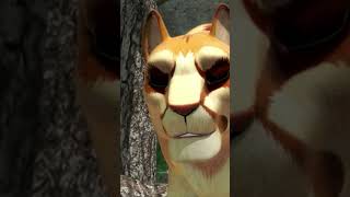 Tork Menace Cinksi Tatonka Dessins Animés Danimaux