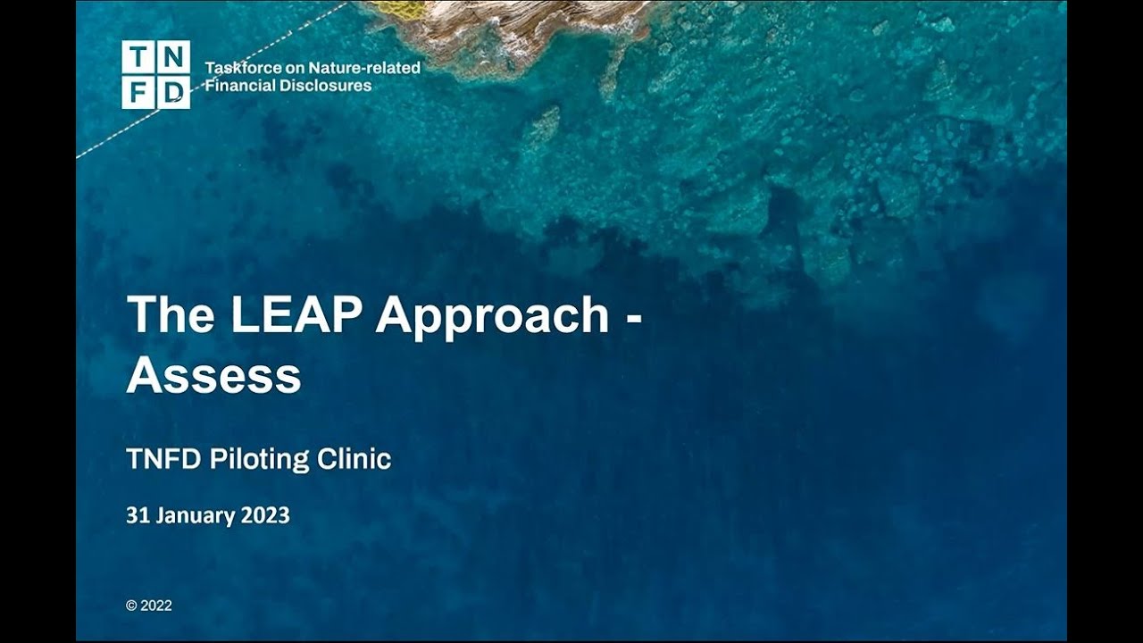 TNFD Piloting Clinic The LEAP Approach Assess YouTube TNFD Piloting Clinic The LEAP Approach Assess YouTube