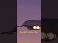 How many CONCORDE's were supposed to be BUILT??? #shorts