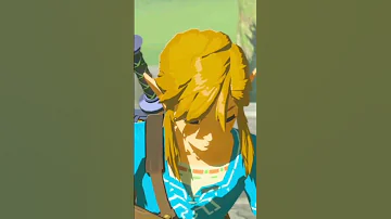 Pourquoi Link se transforme en loup ?