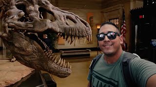 Museo de historia Natural en New York - Conociendo al T Rex