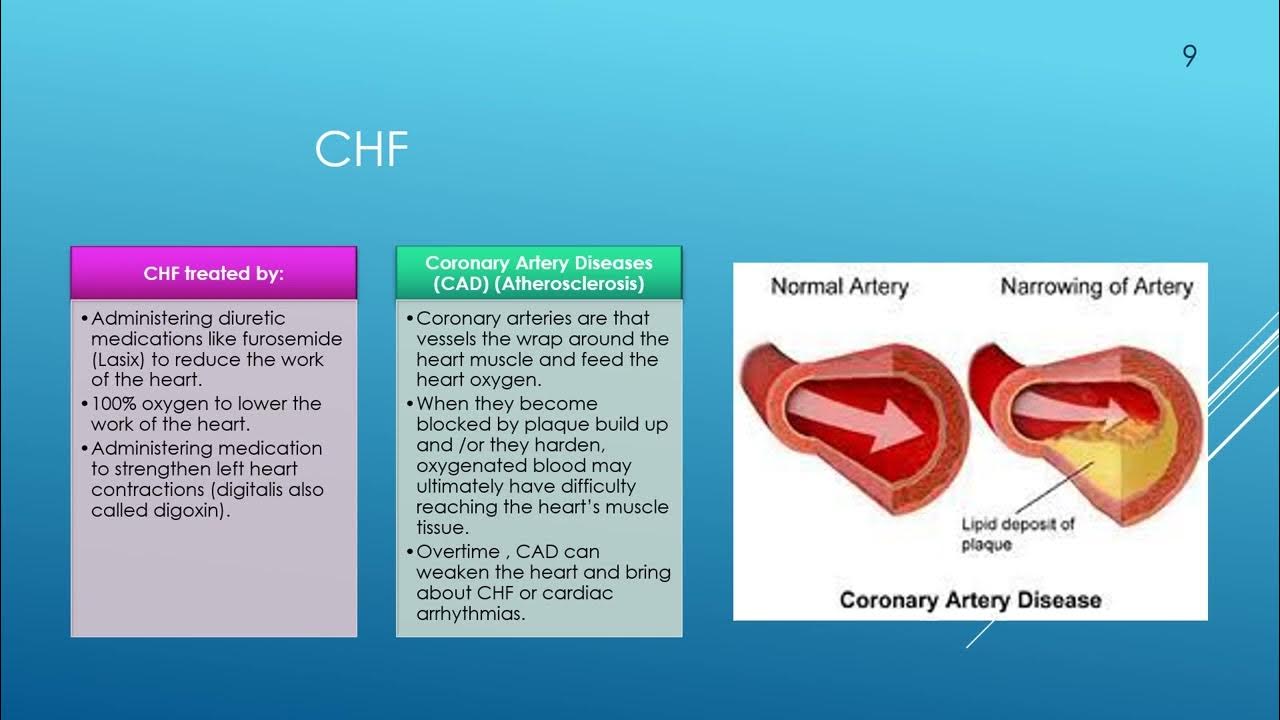 Shenfield ACCS Laboratory Values, Cardiovascular Conditions, Shock, and