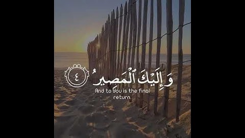 اجمل تلاوة خاشعة جميلة تريح القلب💜#سورة_الممتحنة القارئ#رعد_الكردي حالات واتساب مقاطع دينية قصيرة❤️