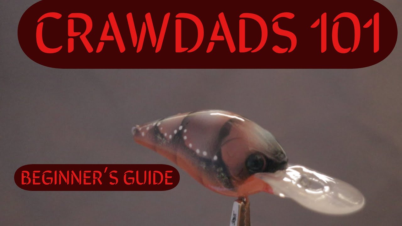 Crawdads 101
