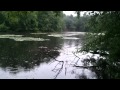 A Rainy Saturday Morning on the Sudbury Reservoir