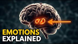 Every Emotion & What It Does To Your Body screenshot 4